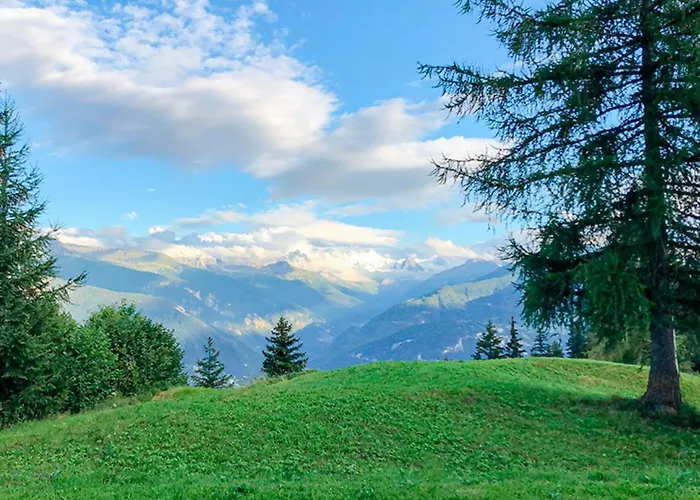 Les Bardeaux Crans-Montana