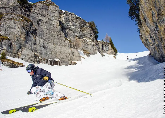 Semesterbostad Les Bardeaux *