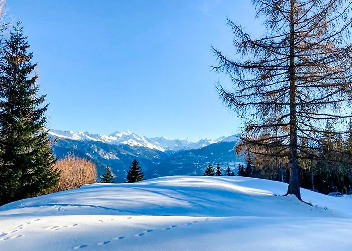 Les Bardeaux Feriehus *